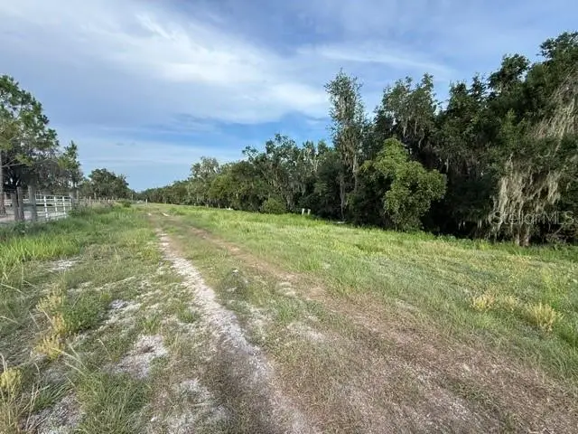 Pool Branch Road, Fort Meade, FL 33841 - #2
