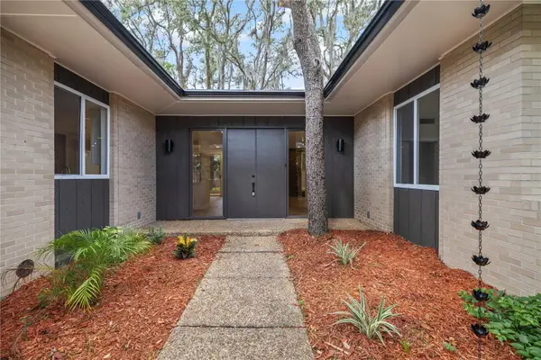 426 Fern Cliff Avenue, TAMPA, FL 33617