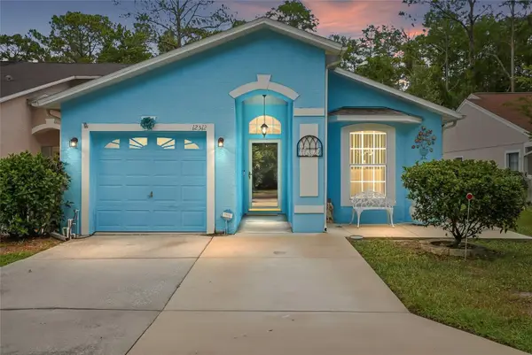 12512 Hollybrook Lane, HUDSON, FL 34669