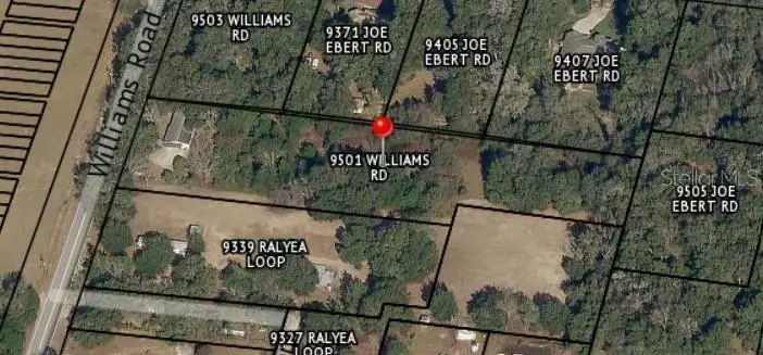 9501 Williams Road, Seffner, FL 33584 - #1