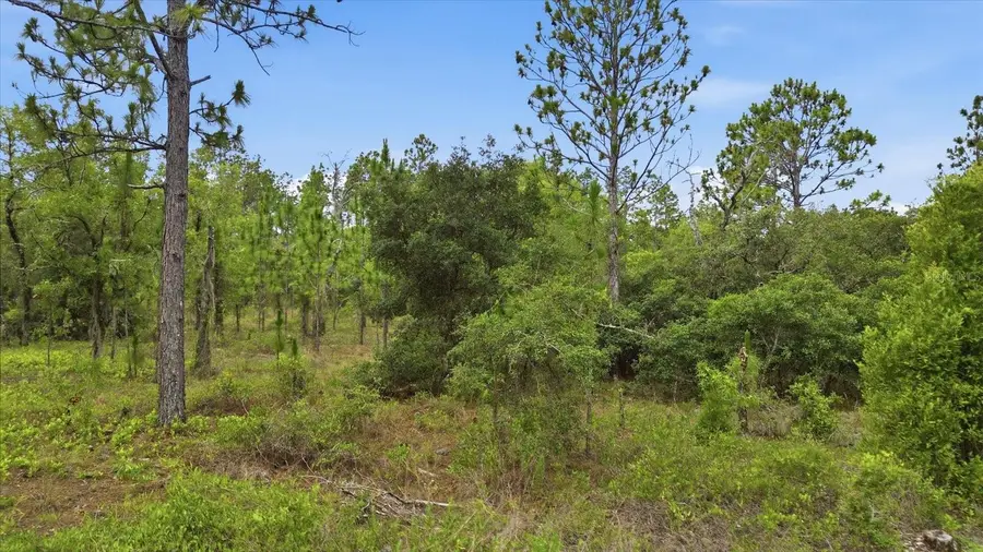 0000 SW Plaza Court Court, Dunnellon, FL 34431 - #2