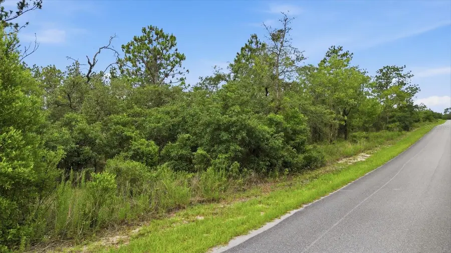 0000 SW Plaza Court Court, Dunnellon, FL 34431 - #3