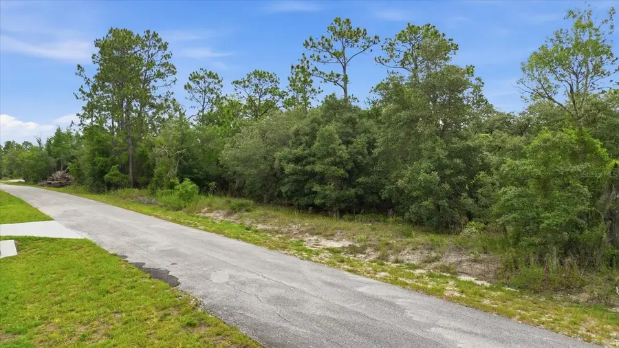 0000 SW Sands Pt Ave Lot 32, Dunnellon, FL 34431 - #2