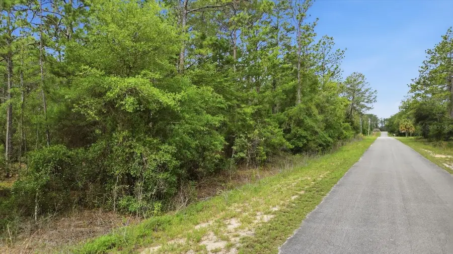 0000 SW Beaver Drive, Dunnellon, FL 34431 - #2