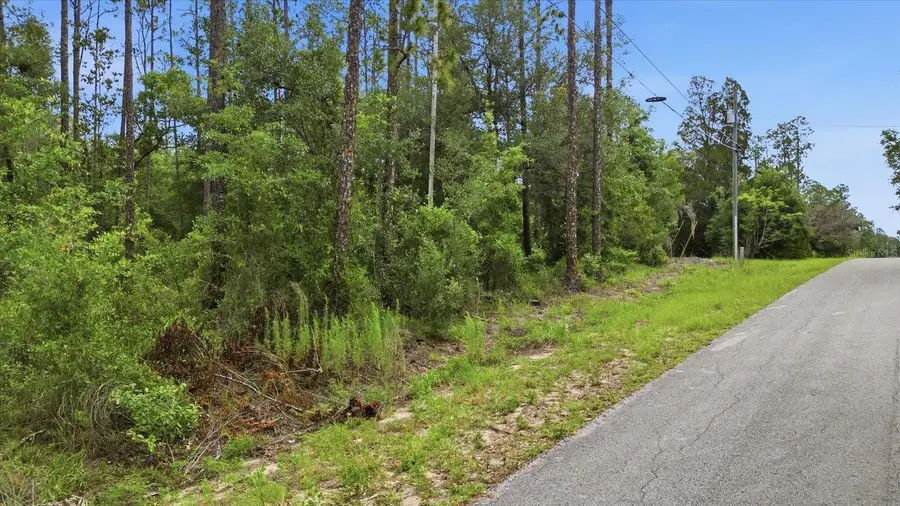 SW Nautilus Boulevard, Dunnellon, FL 34431 - #2