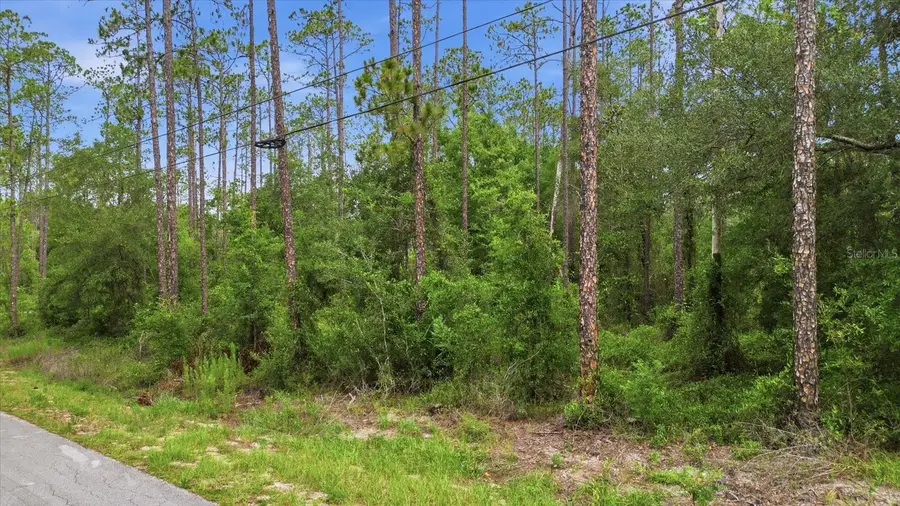 SW Nautilus Boulevard, Dunnellon, FL 34431 - #3
