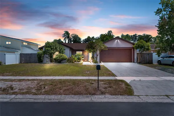 6916 Williams Drive, TAMPA, FL 33634