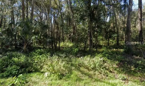 0 Zoller Street, BROOKSVILLE, FL 34601