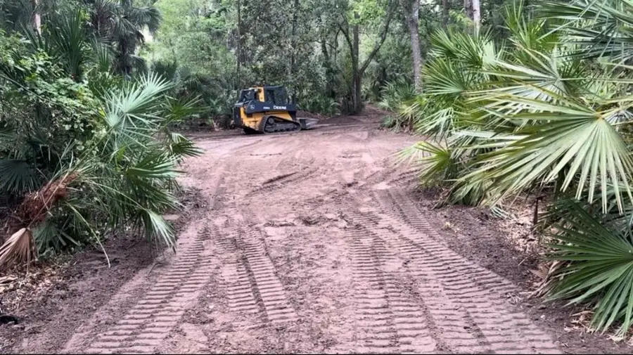 901 Shoals Landing Drive, Brandon, FL 33511 - #3