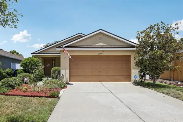 11339 Palm Island Avenue, RIVERVIEW, FL 33569