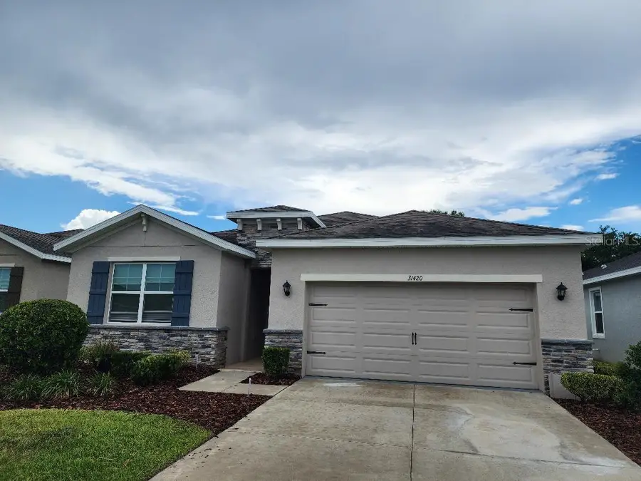 31420 Tansy Bend, Wesley Chapel, FL 33545 - #2