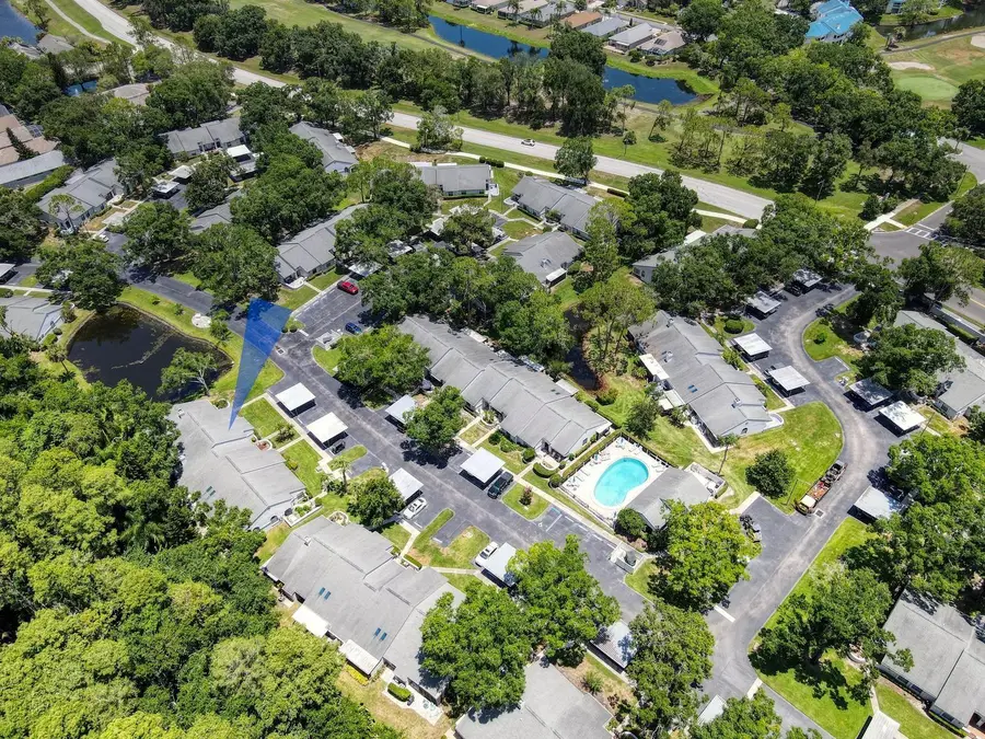 3454 Killdeer Place, Palm Harbor, FL 34685 - #3