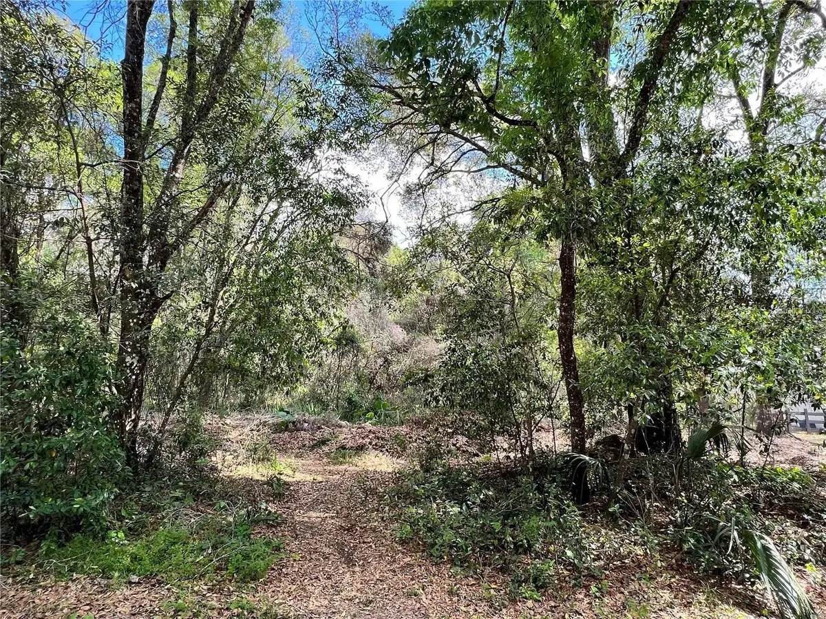 Garfield Avenue, Brooksville, FL 34604 - #1