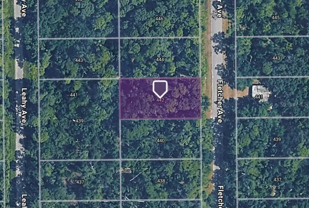442 Fletcher Avenue, Lake Placid, FL 33852 - #1