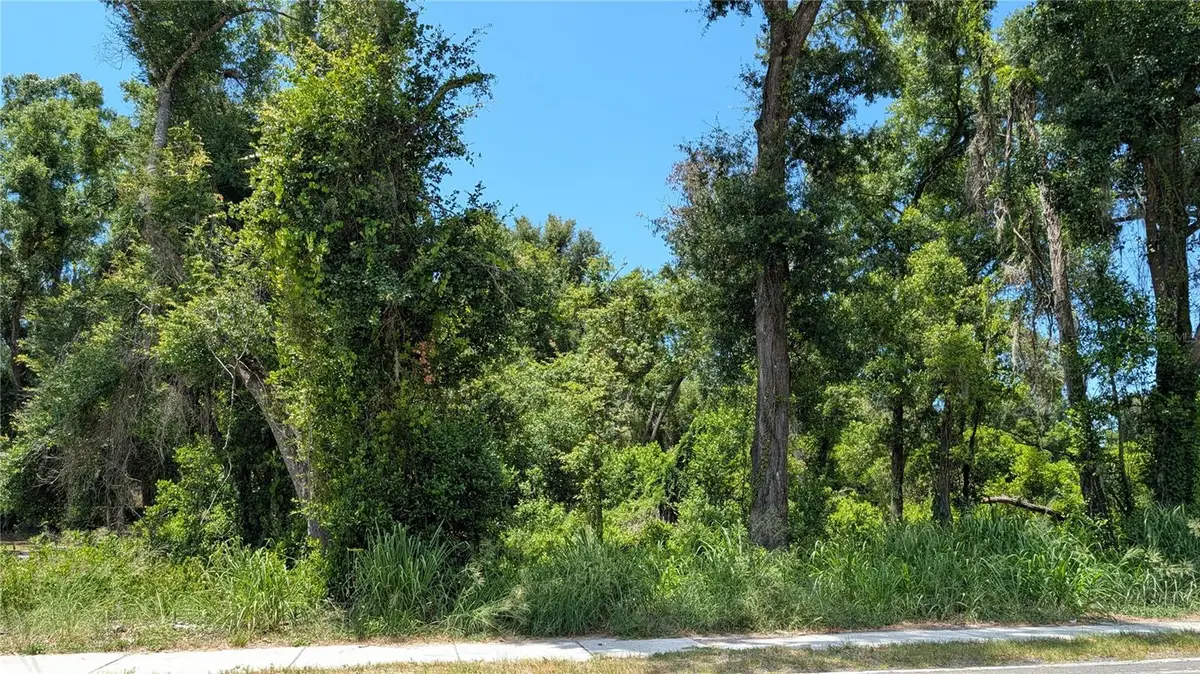 9055 Joe Ebert Road, Seffner, FL 33584 - #1