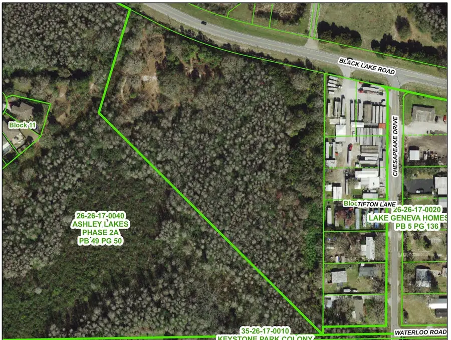 14356 Black Lake Road, Odessa, FL 33556 - #3