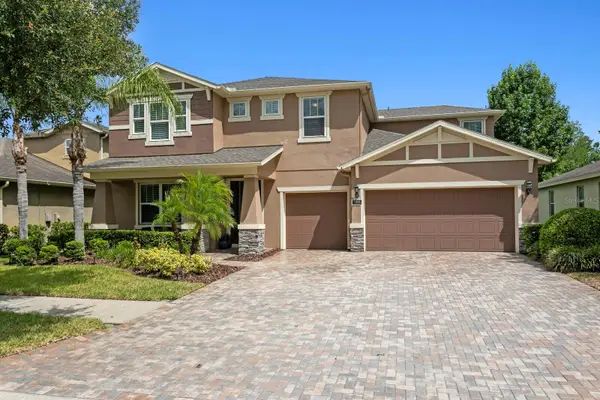 19406 Butterwood Lane, LUTZ, FL 33558