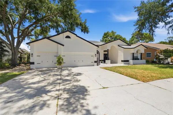 4149 Ridgemoor Drive N, PALM HARBOR, FL 34685