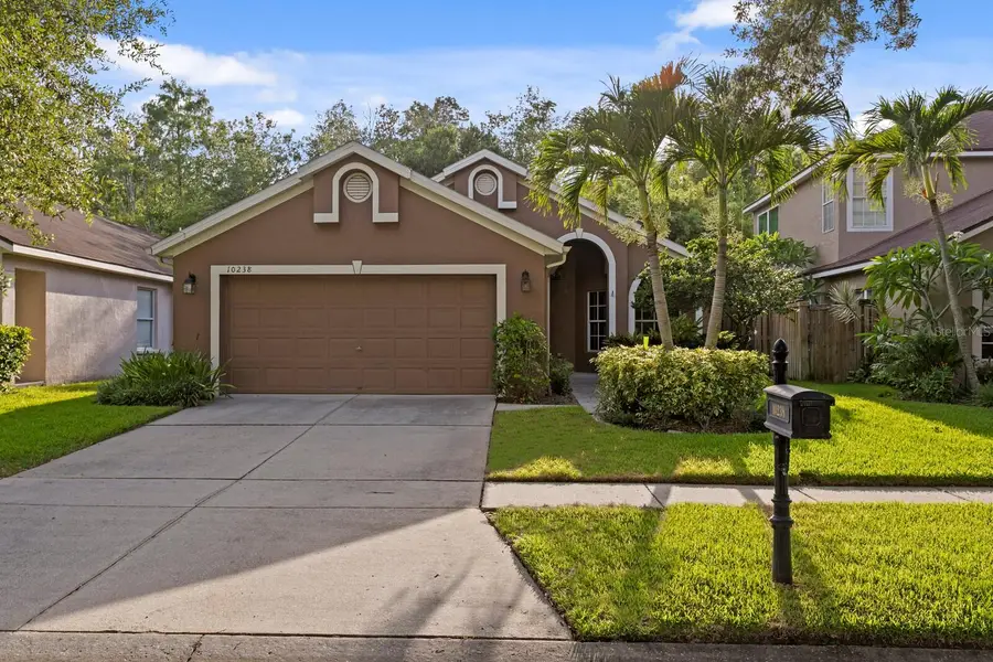 10238 Woodford Bridge Street, Tampa, FL 33626 - #3