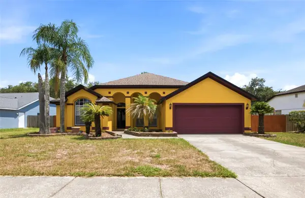 9602 Sunnyoak Drive, RIVERVIEW, FL 33569