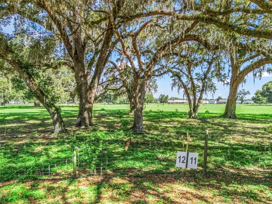 Lot 12 Cr 543, Bushnell, FL 33513 - #3