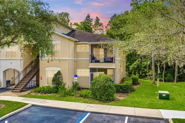 5125 Palm Springs Boulevard #1204, TAMPA, FL 33647