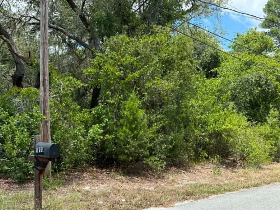 10051 Waddell Street, New Port Richey, FL 34654 - #3