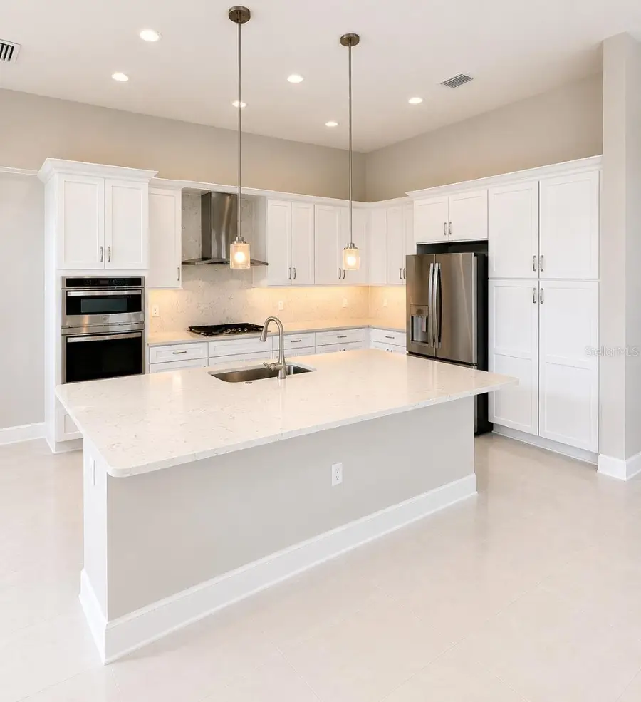 32630 Neroli Street, Wesley Chapel, FL 33543 - #2