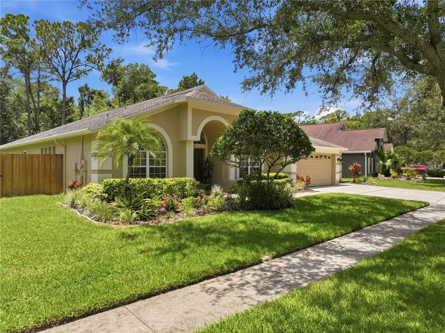 10522 Chambers Drive, Tampa, FL 33626 - #2