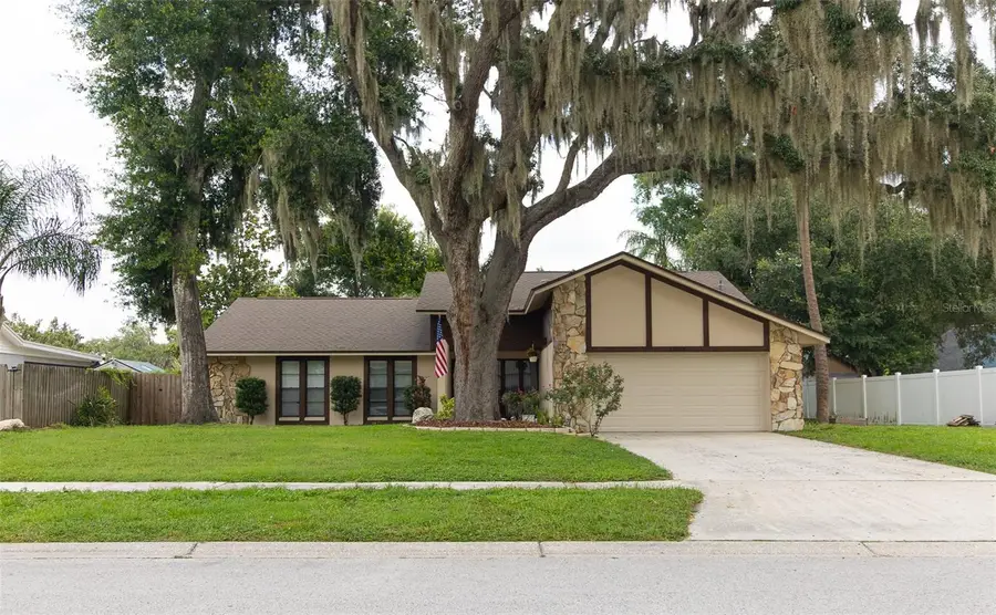 1005 Tranquiview Lane, Valrico, FL 33594 - #3