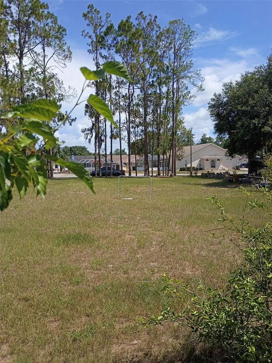 5142 La Plata Drive, New Port Richey, FL 34655 - #2