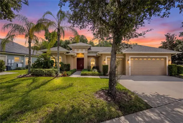14834 Man O War Drive, ODESSA, FL 33556
