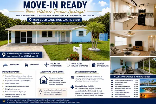 1650 Bold Lane, HOLIDAY, FL 34691
