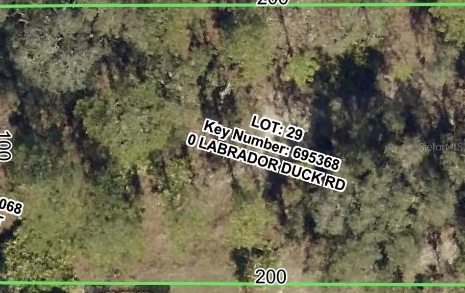 Labrador Duck Rd, Weeki Wachee, FL 34614 - #1