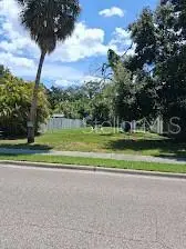 Banana Street, Tarpon Springs, FL 34689 - #1