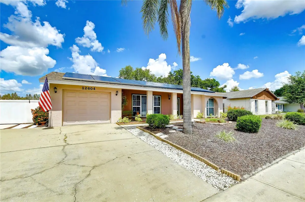 12604 Trucious Place, Tampa, FL 33625 - #1
