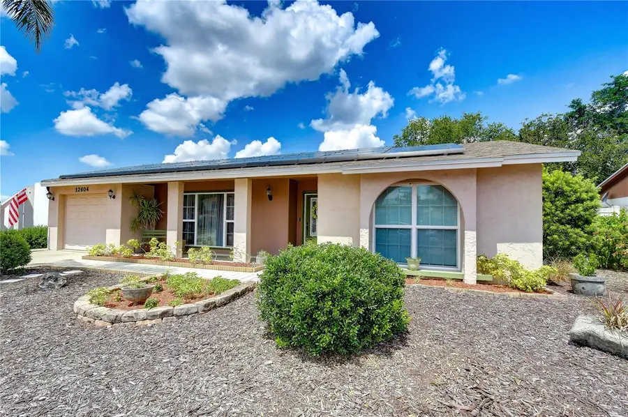 12604 Trucious Place, Tampa, FL 33625 - #2