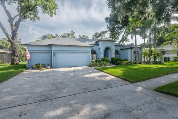 4704 Stone Hollow Court, VALRICO, FL 33596
