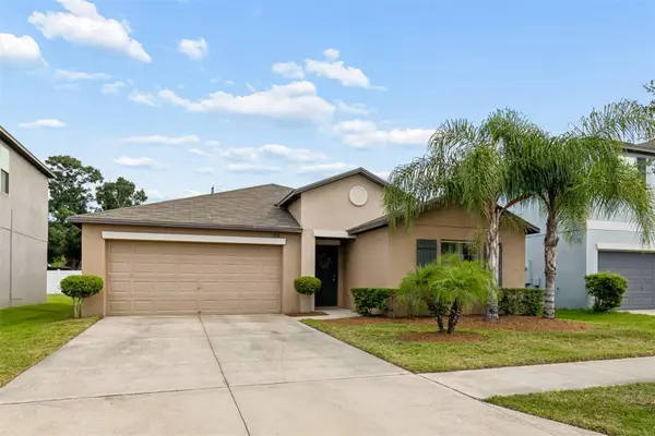 3706 Cat Mint Street, TAMPA, FL 33619