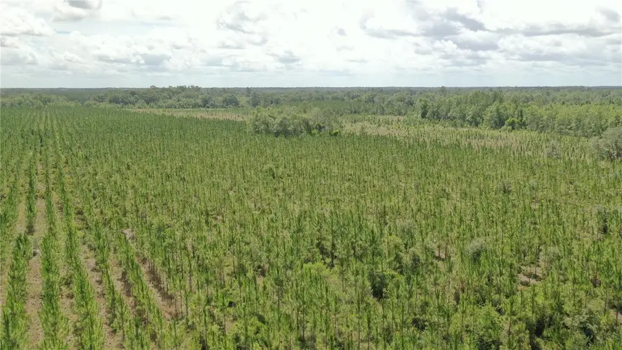 Us Hwy 441 N, Lake City, FL 32055 - #3