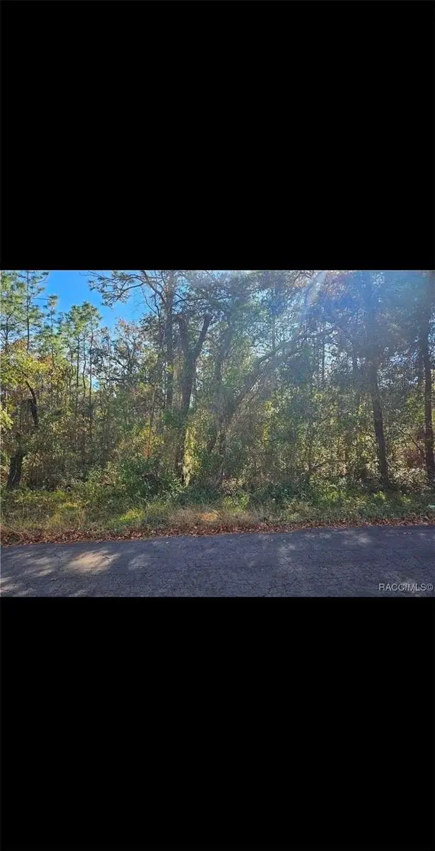 609 N Brighton Road, Lecanto, FL 34461 - #2