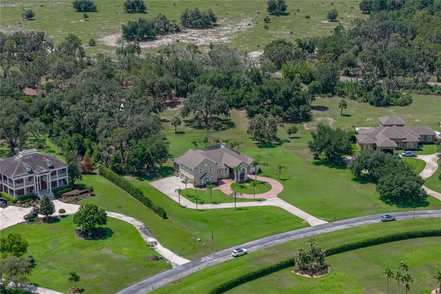 11518 Hammock Oaks Court, Lithia, FL 33547 - #2