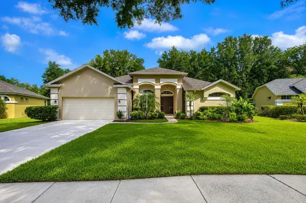 4916 Willow Ridge Terrace, VALRICO, FL 33596