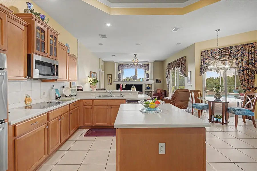13301 Thoroughbred Drive, Dade City, FL 33525 - #3