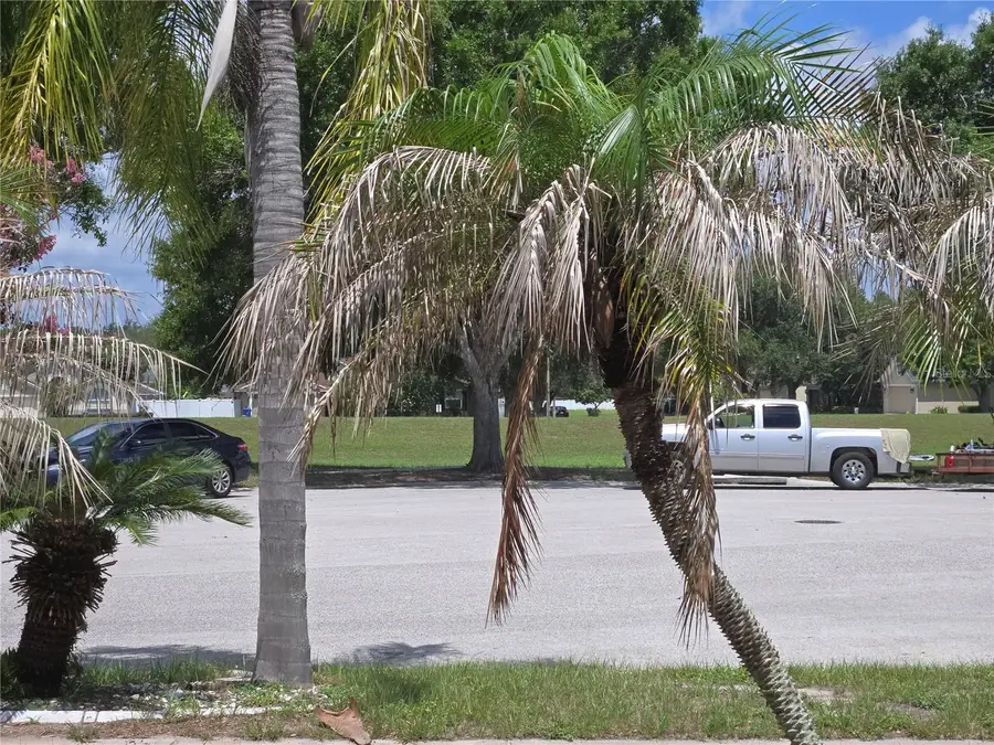 4106 Balington Drive, Valrico, FL 33596 - #3