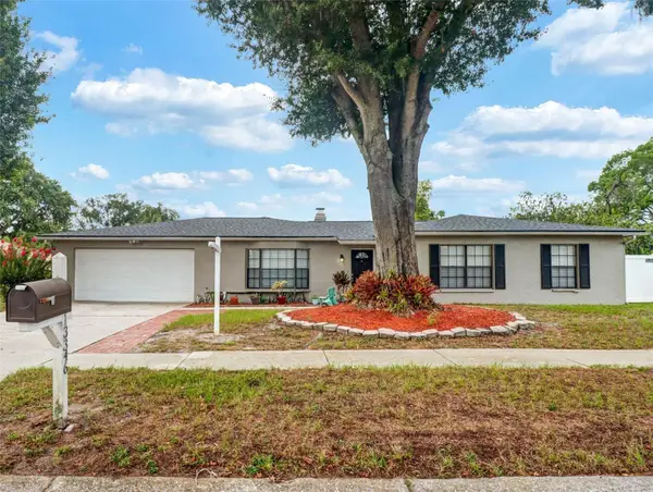 13346 Moran Drive, TAMPA, FL 33618