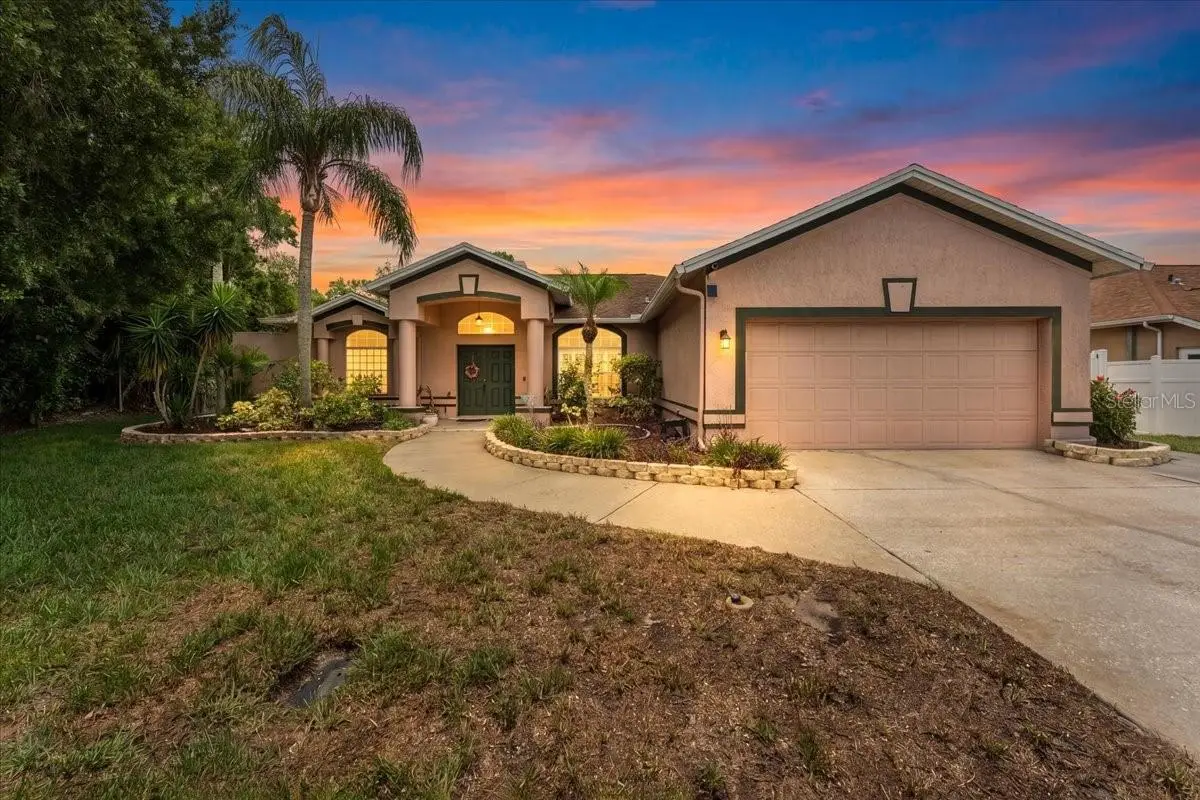 22804 Willow Lakes Drive, Lutz, FL 33549 - #1