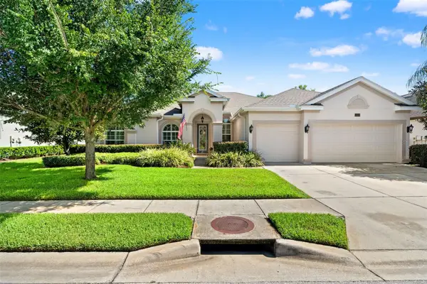 15103 Azra Drive, ODESSA, FL 33556