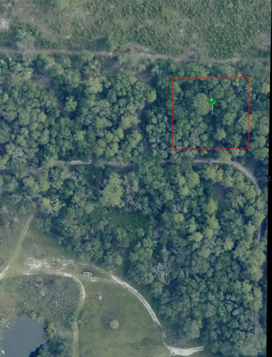 7065 W Rainbow Street, Dunnellon, FL 34433 - #1