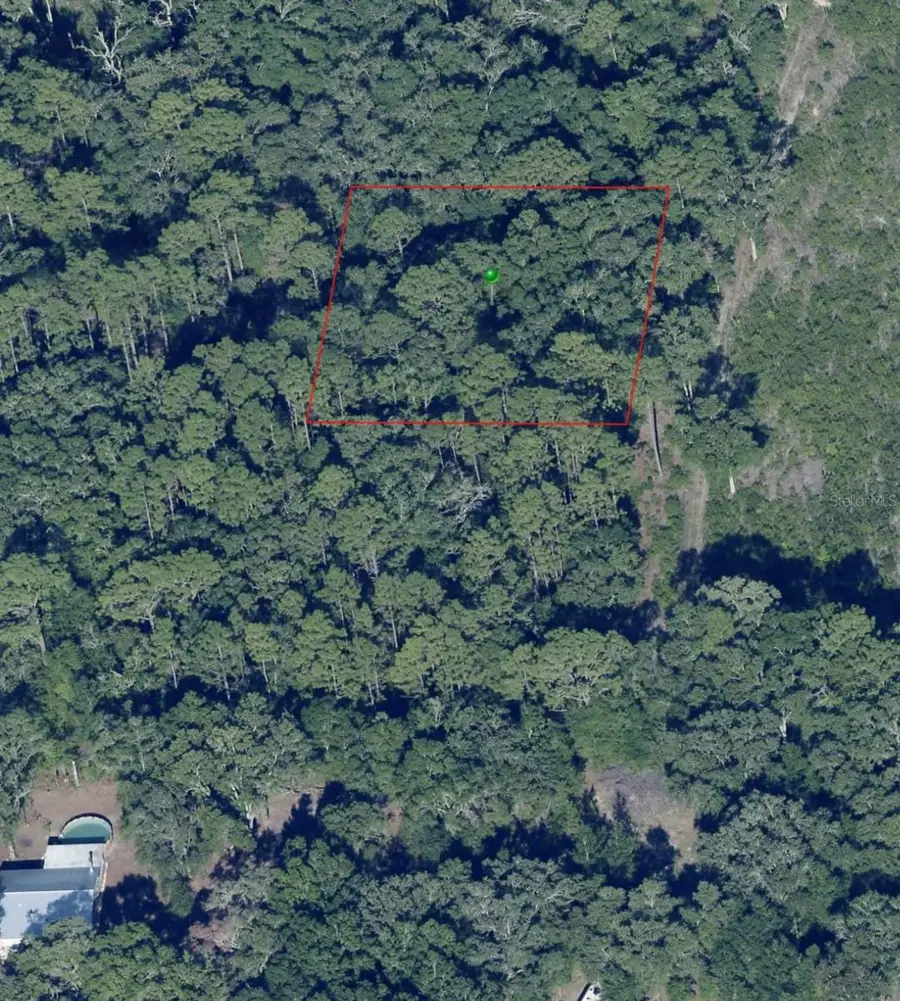 7065 W Rainbow Street, Dunnellon, FL 34433 - #3